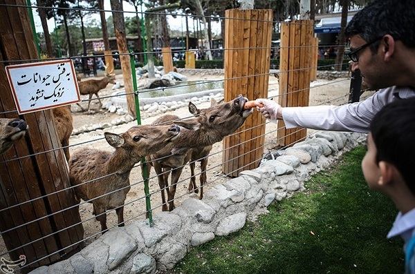 İran zooparklarında 3 mindən çox canlı tələf oldu  
